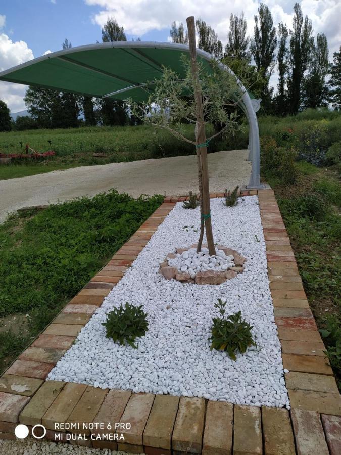 Agriturismo  Le Serre Spello Exterior foto